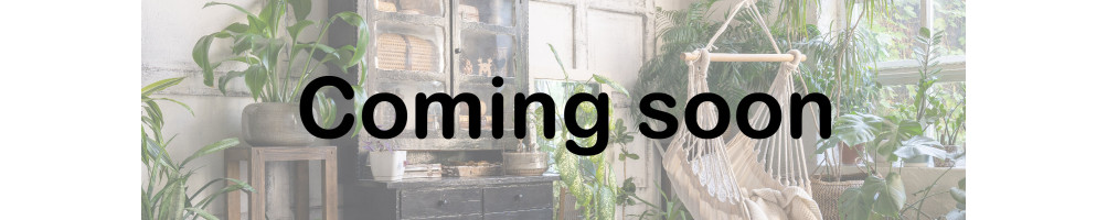 WILLING FLORIST (Coming soon)